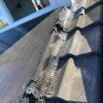 c7218fb3-1251-40ba-9ffc-3353c1ebd1bd